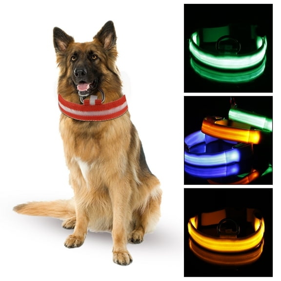 Walbest Light Up Dog Collars, Waterproof LED Dog Collar Rechargeable, Glow in The Dark Dog Collars, Lighted Dog Collar Light for Small Meduim Large Dogs, Safety Dog Light for Night Walking