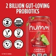 thumbnail image 5 of Humm Kombucha, Summer Variety Pack, 12 Pack, 12 oz Cans, 5 of 7