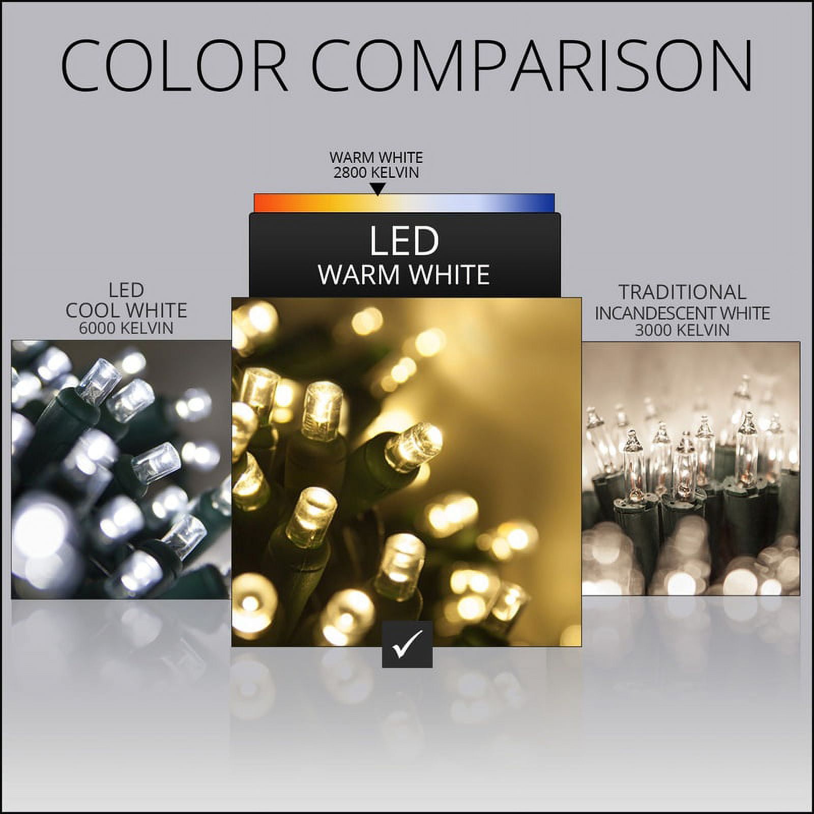 Wintergreen Lighting Warm White Net Lights LED Mesh Lights Christmas String Lights, 4' x 6', 100 Lights - Green Wire