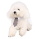 thumbnail image 5 of Collar con corbata ajustable para perro y gato, corbata a rayas, disfraz de aseo negro rojo, 5 of 9