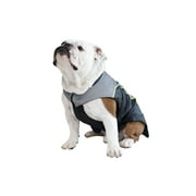Vibrant Life Retro Reflective Dog Vest, Dark Gray, XS