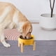 thumbnail image 5 of Comedero Elevado Welloyed Cerámica Bambú para Perros Pequeños y Medianos, 5 of 8
