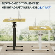 FLEXISPOT 40x24 Home Office Height Adjustable Standing Desk with Hooks, Ergonomic Electric 2-Stage Stand Up Computer Desk, Black and Maple