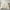 Cream, variant on Davulos King Size Comforter Set Cream 7 Pieces Bed in a Bag King, Luxury Soft Bed Set for All Seasons, Bedding Set with Down Alternative Comforter, Sheets, Pillowcases & Shams