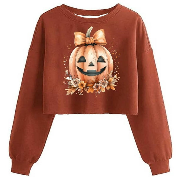 Ailaofu Women's Sweatshirt Fall Halloween Lantern Long Sleeve Pullover Spooky Season Sweatshirt