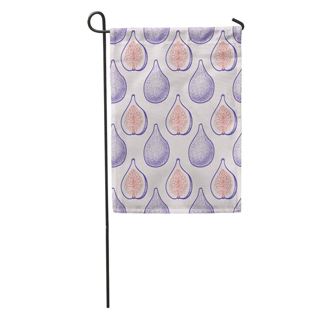 JSDART Purple Handdrawn Colorful Figs Pattern Agriculture Berry Color Cute Delicious Garden Flag Decorative Flag House Banner 28x40 inch