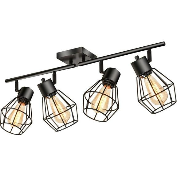 4-Light Black Cage Head Track Lighting Set