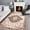 Brown, variant on Noahas Vintage Area Rug Modern Bohemian Rug, Brown, 4' x 6'