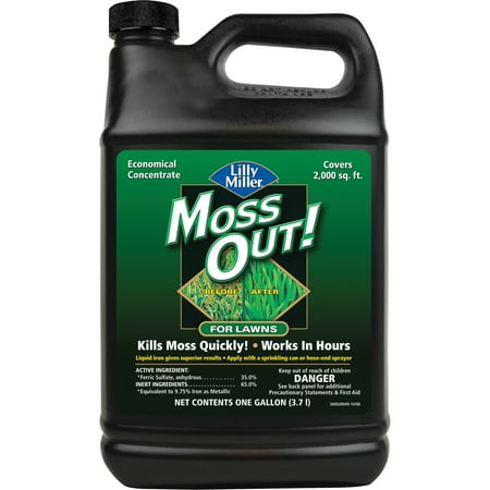 Lilly Miller Moss Out! Lawn Moss Killer Concentrate Herbicide, 1 Gallon