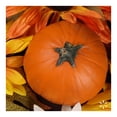 thumbnail image 4 of Calabaza pay por pieza, 4 of 4