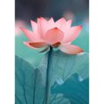thumbnail image 1 of Flowers 5D DIY Full Drill Diamond Painting, 1 of 3