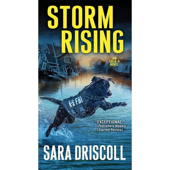 Pre-Owned Storm Rising (Mass Market Paperback) 0786041528 9780786041527