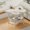 White, variant on Zhi 2 Tier Butterfly Shaped Modern Side Table Multifunctional Coffee Table with Storage Shelf Bedside Study Desk for Living Room Bedroom Office