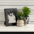 thumbnail image 2 of DesignOvation 7.5"H Artificial Money Plant in Tan Textured Cement Pot, 2 of 8