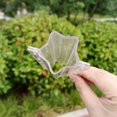 thumbnail image 1 of unbranded 4Ud Transparente Para Cultivo De Verduras Con Forma Estrella Para Pepino Únicos Y Reutilizables, 1 of 8