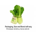 thumbnail image 7 of Fresh Produce, Whole Bok Choy Shanghai, 1 Bundle, 7 of 7