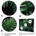 thumbnail image 3 of Designart "A Close Up Photo of Ferns VI" Floral Floater Framed Canvas Print, 3 of 7