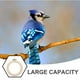 thumbnail image 5 of Percha redonda de madera para pájaros, plataforma para loros, juguete para canarios, periquitos, cacatúas, loros, gorriones, accesorios para jaulas de pájaros, 5 of 8