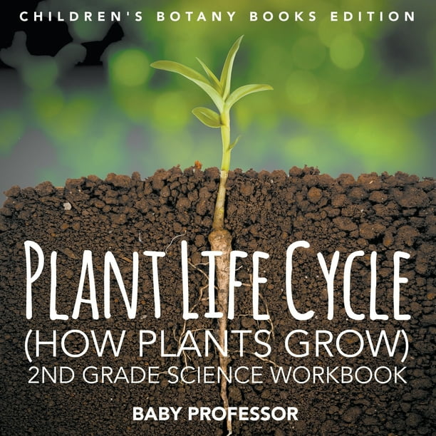 Plant Life Cycle (How Plants Grow): 2nd Grade Science Workbook