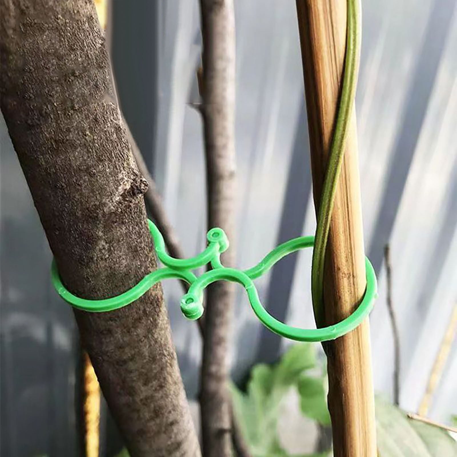 Filzada® 50x Clips Pour Plantes Set L & M - Attache Plante Grimpante - Clips Tomates - Attache Tomate - Pince Tomate