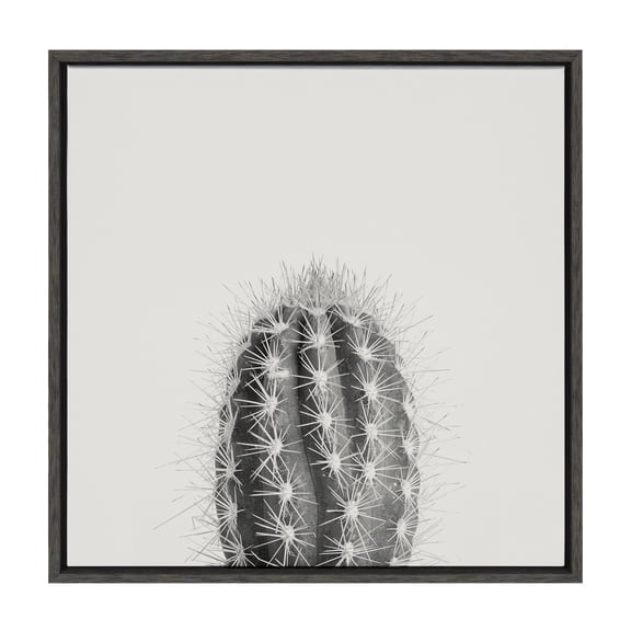 Kate and Laurel Sylvie Haze Cactus Succulent Tall Framed Canvas Wall Art by The Creative Bunch Studio, 22x22 Gray, Decorative Succulent Art for Wall