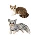 thumbnail image 1 of 2 figuras de juguete de gato adorables, peluches para decoración del hogar y fiestas. EstiloR, 1 of 9