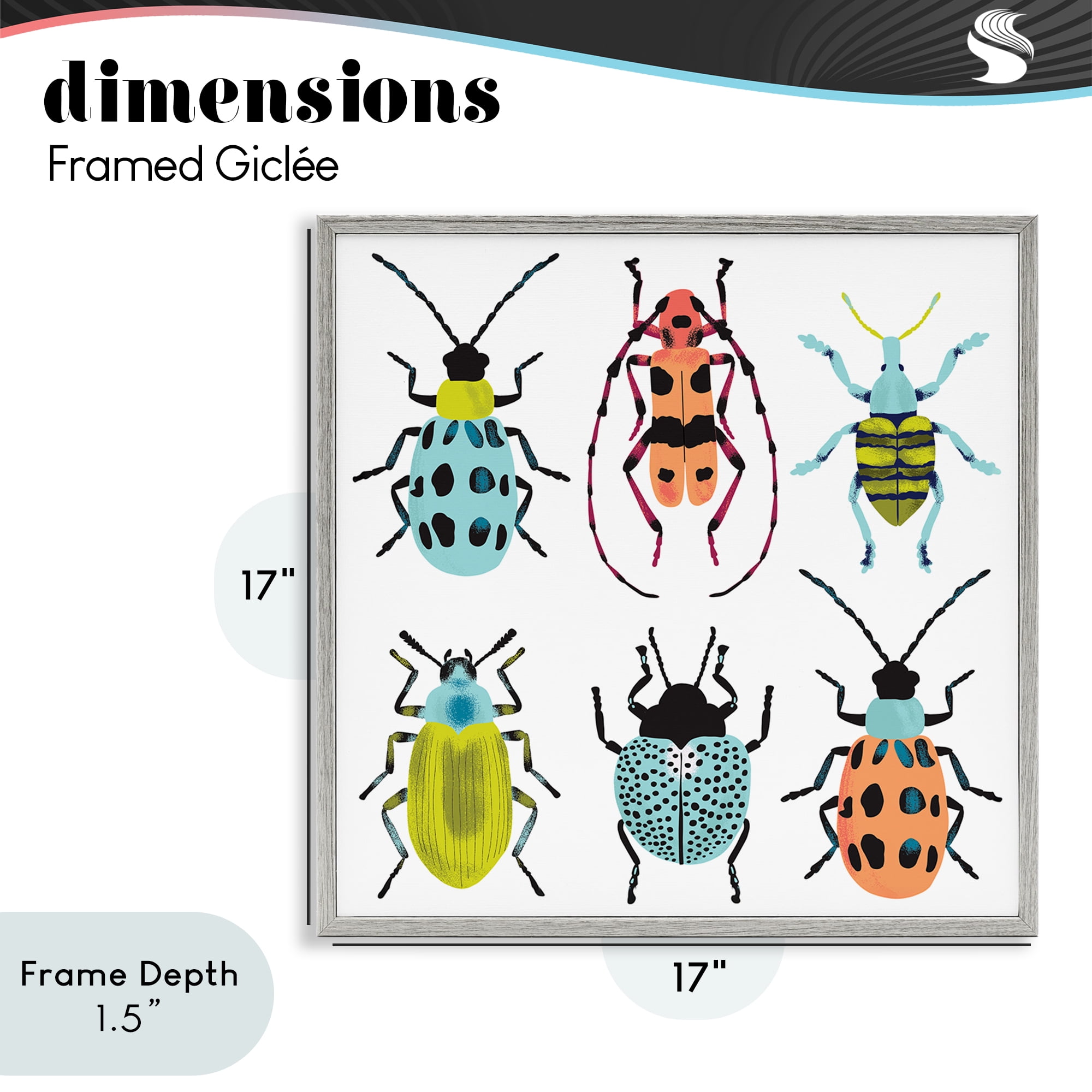 Stupell Industries Beetles & Bugs Collection Gray Framed Giclee Art, design by Metka Hiti