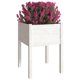 thumbnail image 3 of Jardineras VidaXL, madera de pino maciza blanca, 50 x 50 x 70 cm, 2 unidades, 3 of 8