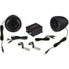 Renegade Motorcycle Kit Speaker and Amplifier 100W Max Black