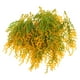 thumbnail image 1 of 20 piezas de espigas de trigo de arroz artificiales, hierba de trigo artificial, racimos de espigas de trigo de arroz artificiales, decoraciones, 1 of 7