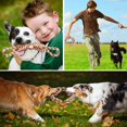 thumbnail image 4 of Juguete masticable para perros duradero, 4 of 5