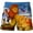 DSDK-0003, variant on Lion King Swim Trunks Swim Shorts 3D Print Little Boys Quick Dry Beachwear