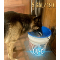 thumbnail image 6 of Freedom Pet Fountain 5-Gallon UV-C Anti-Splash Dog Water Fountain, 6 of 10