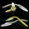 thumbnail image 3 of QualitChoice 10 Pcs Appâts Souples Petits Leurre de Pêche en PVC Anguille Accessoires de Pêche Matériel Aquatique Eau Salée Eau Douce Mer Poisson-Chat Équipement Or Or, 3 of 6