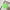 Green, variant on Hamky Leggings for Women Shorts for Women Shorts Active Casual Shorts Women Yoga Sports Summer Shorts Workout Solid Pants Lounge Pants Women Yoga Pants Women Green L