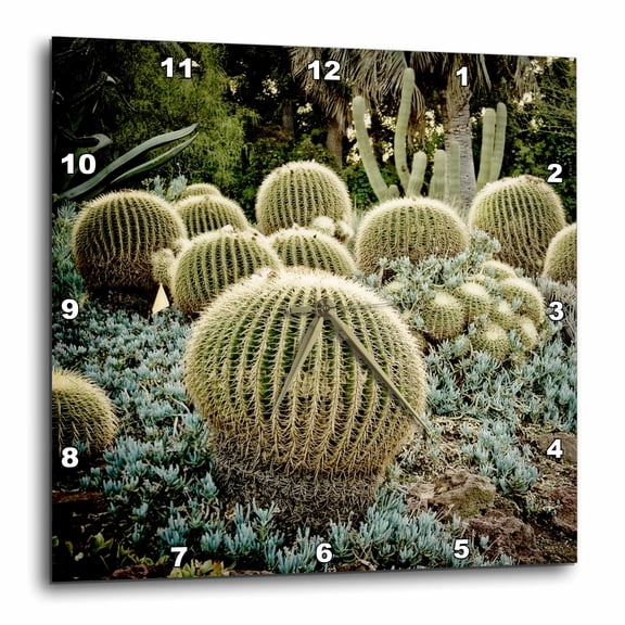 3drose, Cactus Garden Ball Cactus, 10x10 Wall Clock