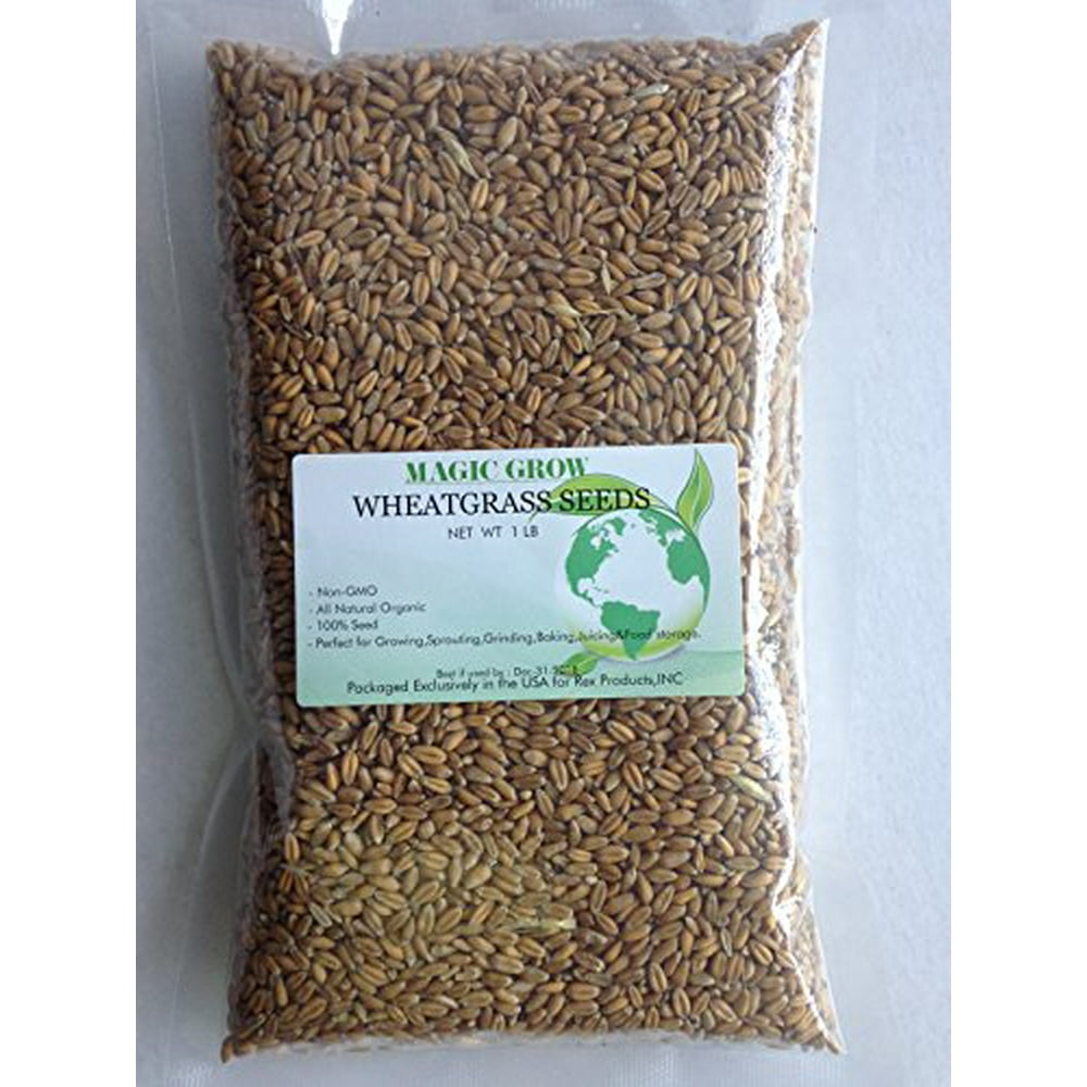 Certified Organic Wheatgrass Seed 1lb. NonGMO Guaranteed to Grow