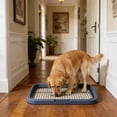 thumbnail image 1 of Dog Potty Tray For Small Medium Dogs With Removable Reseau Disclose Proof Base Plain Clean Pet Litter Box Portable Dog Litter Box For Apartment Balcony Travel, 1 of 6