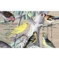 thumbnail image 2 of Jordan, Elizabeth 32x21 White Modern Wood Framed Museum Art Print Titled - Bird Botanical 4, 2 of 4