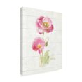 thumbnail image 2 of Trademark Fine Art 'June Blooms IV' Canvas Art by Danhui Nai, 2 of 3