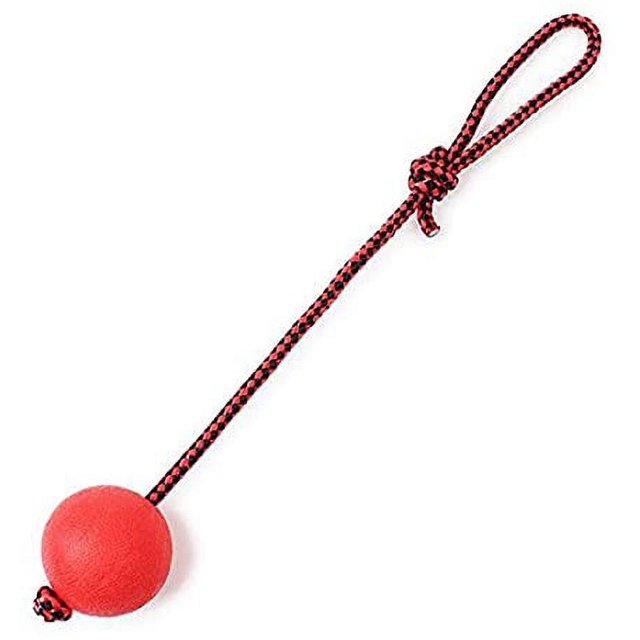 Juguetes para perros ZHAOCHENG con cuerda de goma masticar para entrenar gatos
