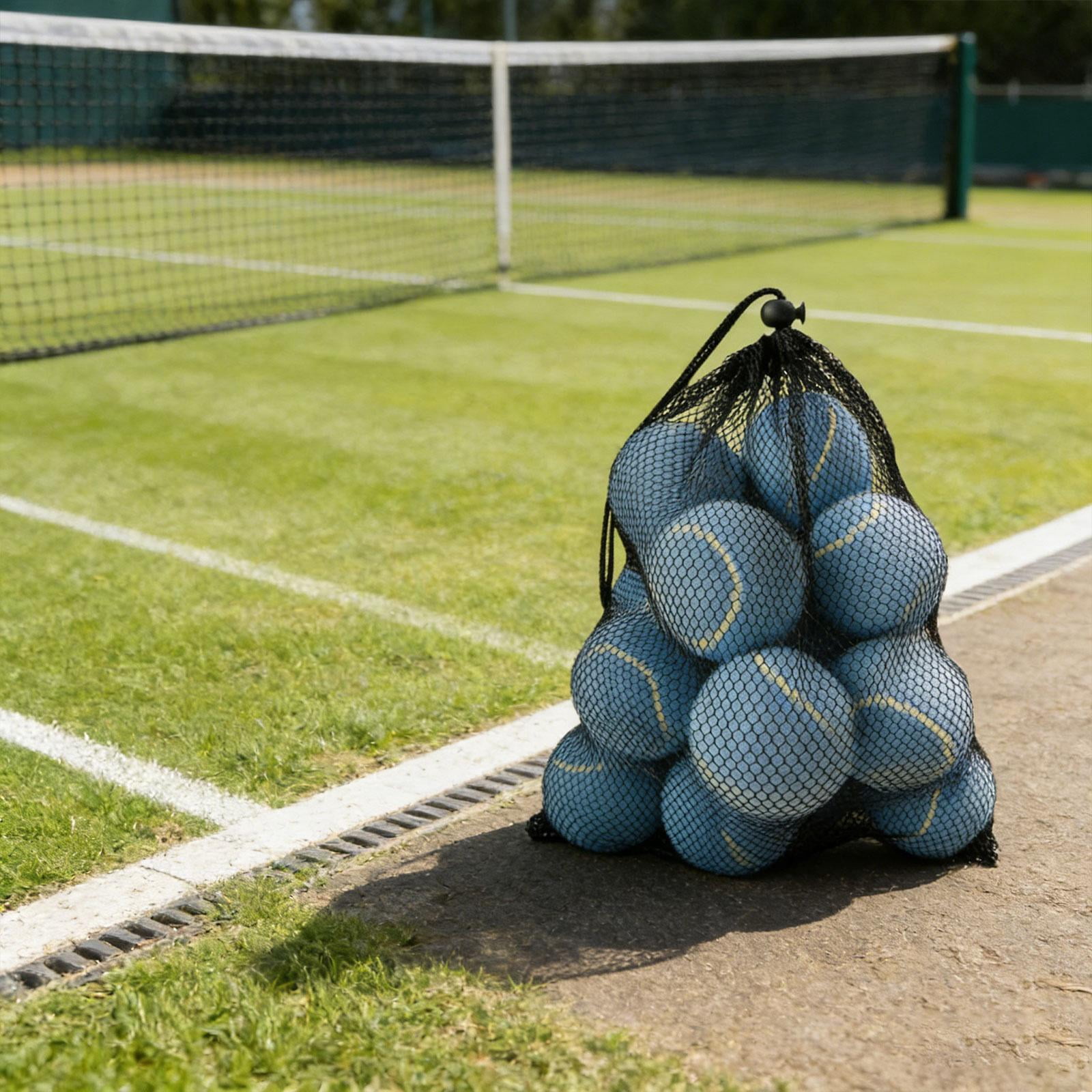 harayaa 12 Pieces Tennis Balls Exercise Playing Balls Professional Rubber Training Balls Blue