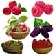 thumbnail image 2 of Pegatina decorativa para nevera de cocina con forma de fruta de dibujos animados de frambuesa linda Three Ratels CO22, 2 of 5
