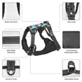 thumbnail image 6 of Zufioo Colorful Alpaca Print Pet Traction Vest, Buckle Dog Harness, Pet Supplies Suitable for Dogs of All Sizes-Medium, 6 of 6