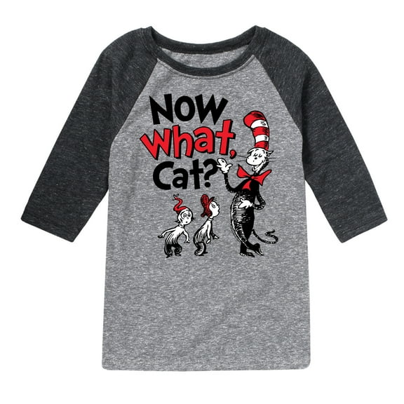 The Cat in the Hat - Now What Cat - Toddler & Youth Raglan Graphic T-Shirt