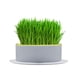 thumbnail image 5 of Bandeja hidropónica para germinación de césped y hortalizas | Maceta para sembrar semillas sin tierra con depósito de agua | Plástico poroso para uso en interiores y exteriores, 5 of 5