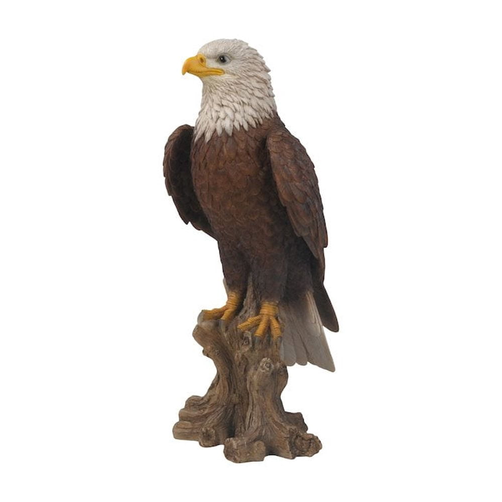 Bald Eagle On Stump