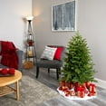 thumbnail image 3 of Nearly Natural 4ft. Colorado Mountain Fir Look Artificial Christmas Tree with 150 Clear LED Lights, 3 of 7