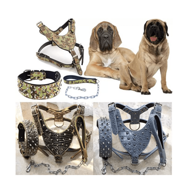 Large Dog Harness And Collar Set Spiked And Studded Leather Dog