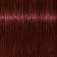 thumbnail image 2 of Schwarzkopf Professional Igora Color10 Hair Color (4-88 Medium Brown Red Extra), 2 of 7